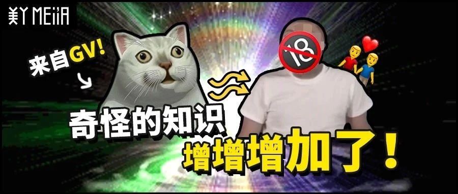 爆红Mur猫表情竟来自GV？我搜遍全网找到了资源！|鬼畜|模型|表情包|B站|影片_新浪新闻