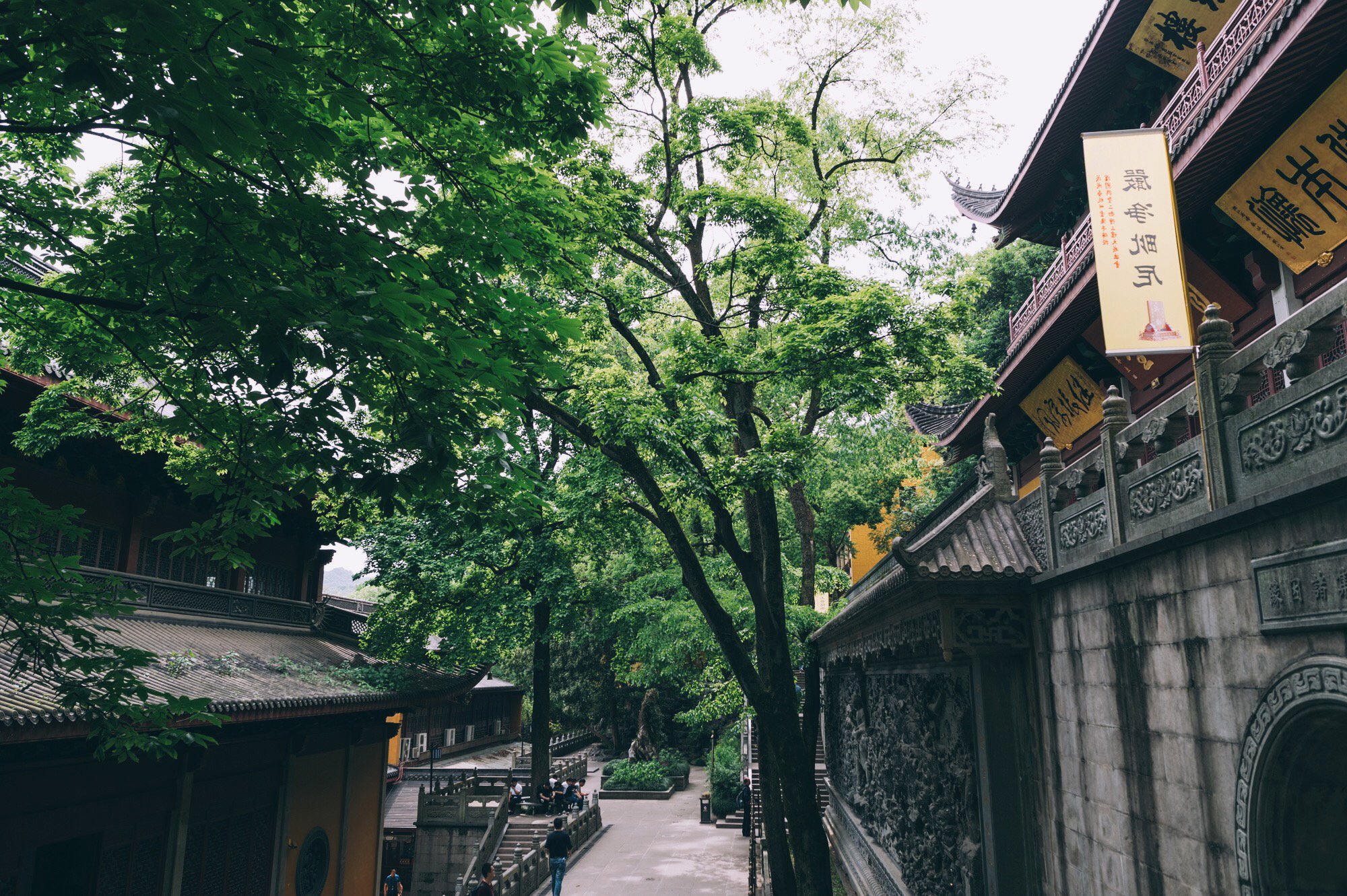 在藏经楼与华严殿之前还有一片竹林,这在很多寺院是看不到的一道景观