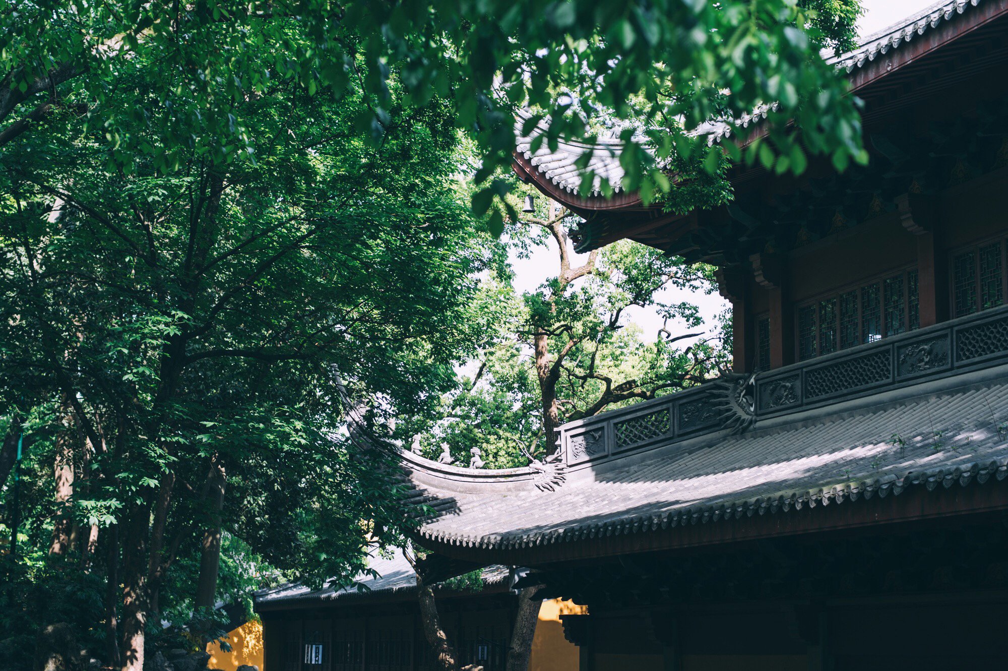 华严殿之前还有一片竹林,这在很多寺院是看不到的一道景观,非常有意境