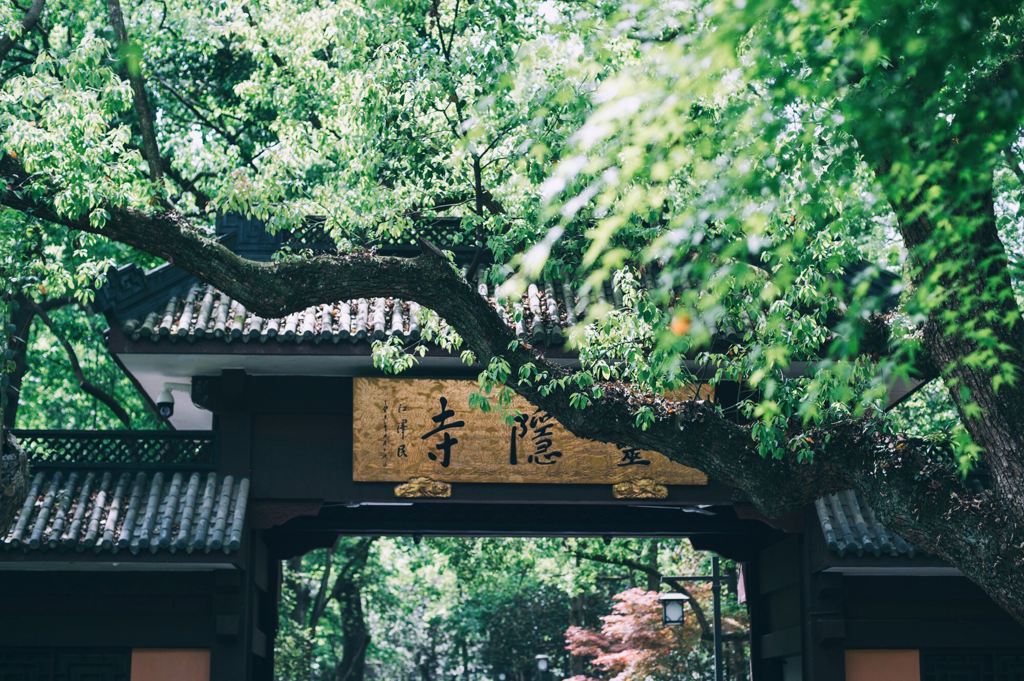 杭州灵隐寺,中国十大"古刹"之一,门票75元游客依然络绎不绝