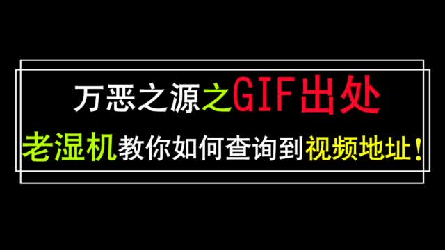 为什么付出那么多是什么歌？