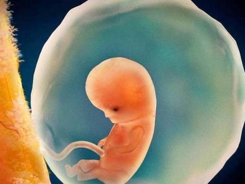怀孕的辛苦，别人根本体会不到，几张图带你看看全过程|怀孕|胎儿|女性_新浪新闻