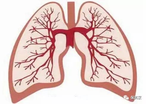 保其家:新冠来袭,为什么说接种肺炎疫苗刻不容缓?
