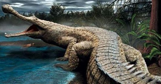 史前最热血的一场对决!恐鳄大战阿尔伯塔暴龙,谁更厉害?