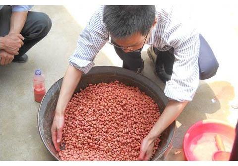 种花生怎样拌种不生虫?|花生|拌种|生虫_新浪新闻