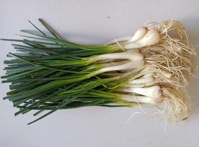 闺蜜说荞头吃起来香辣美味加它一起炒刚上桌就被抢完太好吃了