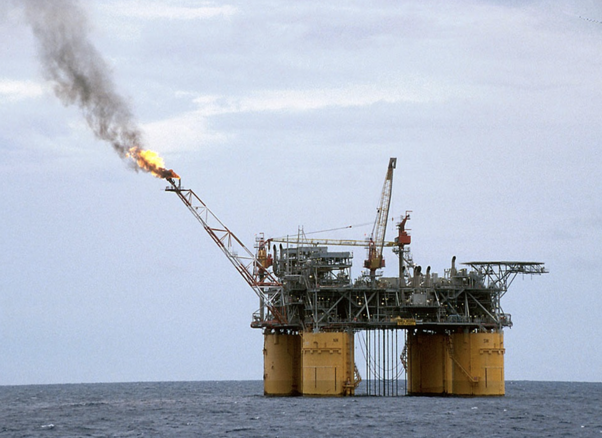 让她胡言乱语,做一根搅屎棍