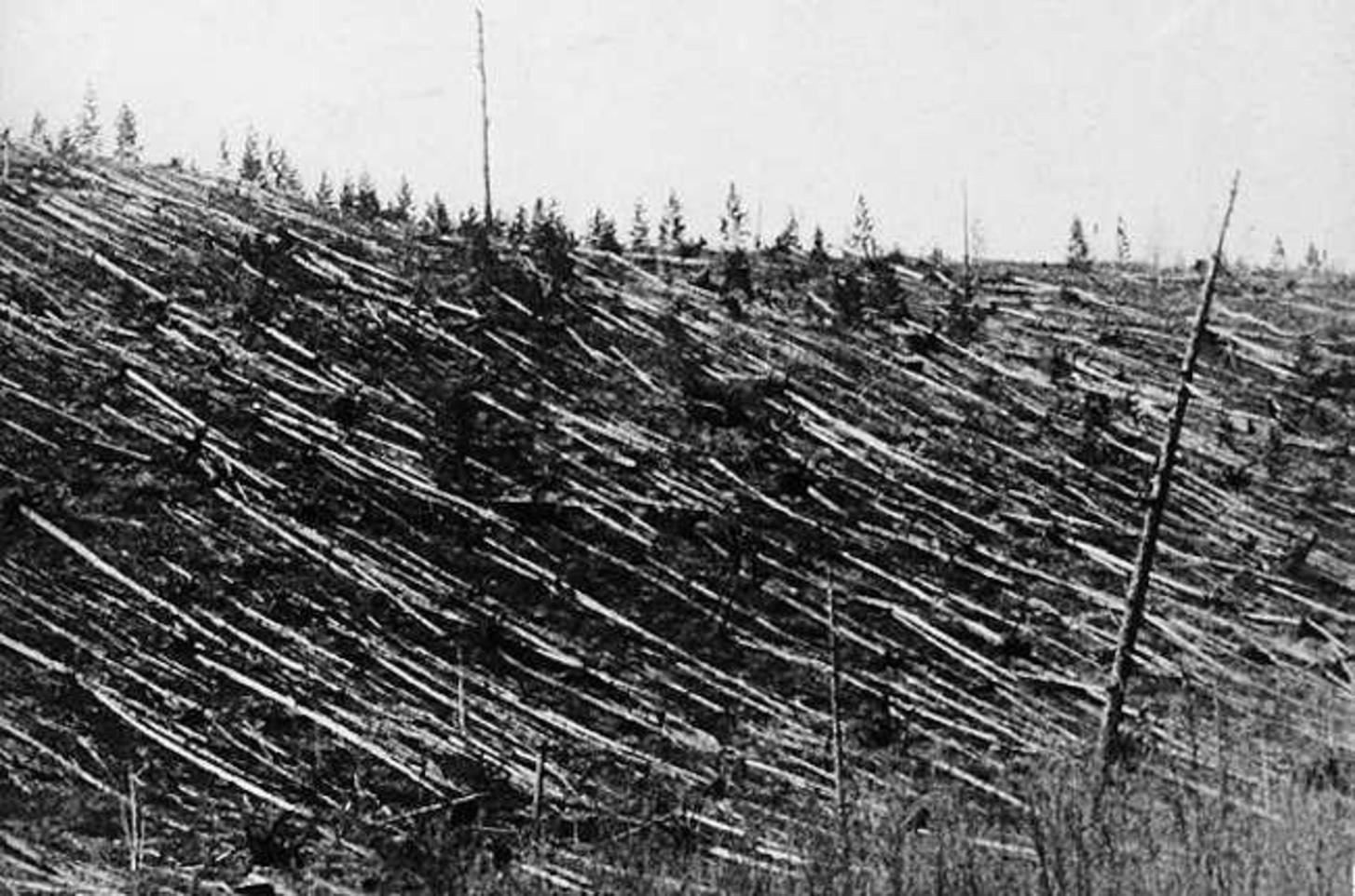 1908年通古斯发生大爆炸专家推测多种结论最接近真相的是这种