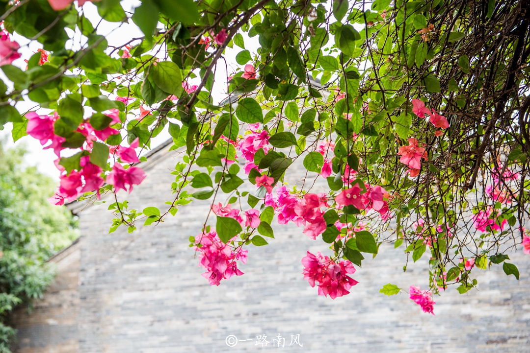 南宁乡村的春天原来这么美,绿树红花宛如一幅水墨画!
