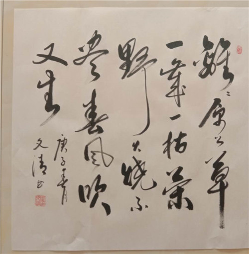 河北雄县书法家刘文清老师作品欣赏