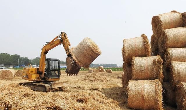 继"禁烧秸秆"后,农村这一行为也要严查,违者罚款拘留