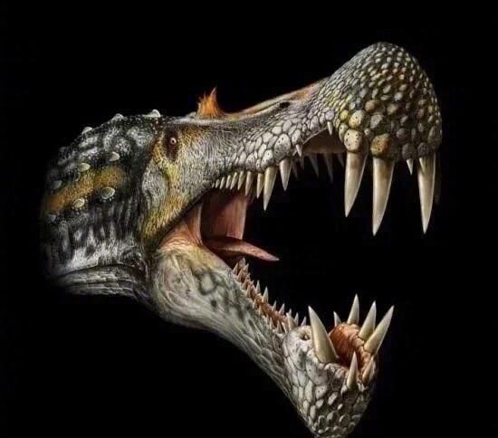 棘龙是不是战斗力最强的恐龙