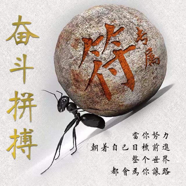 蚂蚁精神励志头像,把你的姓氏刻在石头上,一共12张