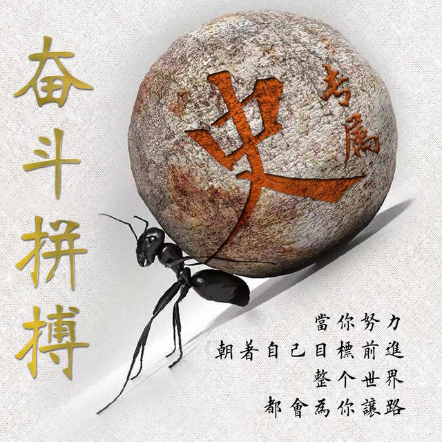 蚂蚁精神励志头像,把你的姓氏刻在石头上,一共12张|蚂蚁|头像|精神_新