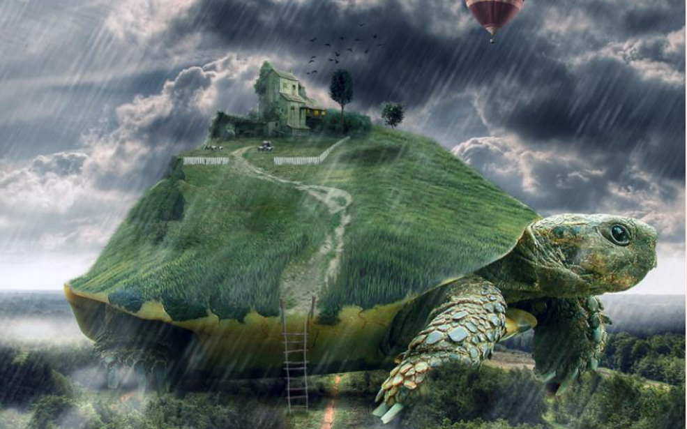 3米长的史前巨龟,死前背部被咬了个窟窿,什么生物牙齿如此锋利