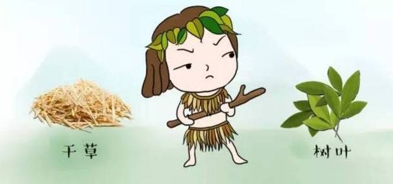 根据科学家们的研究,在远古时代,我们的祖先最早是用各种能吸水的材料