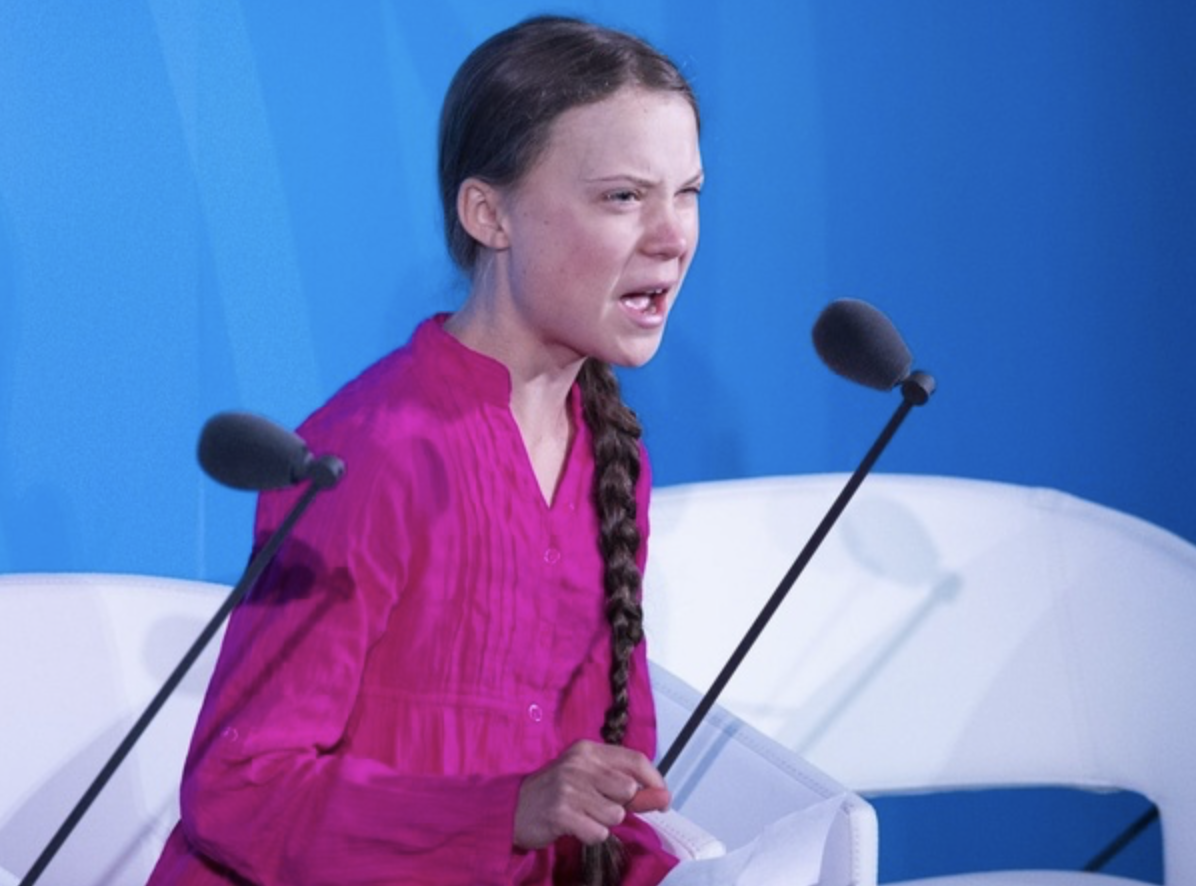 那位要求我们停止使用筷子的瑞典少女,西方人怎么评价她的活动?