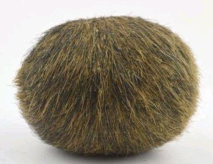 小伙养了13年的猪去世,主人剖开肚子一看,惊喜发现百万"遗产"