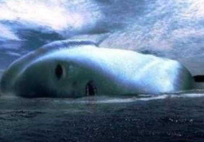 南极发现的"白色雪怪",身高超过30米,曾被人误会是白鲸