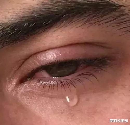 心理测试:选最伤心的眼睛?测你有没有抑郁症!