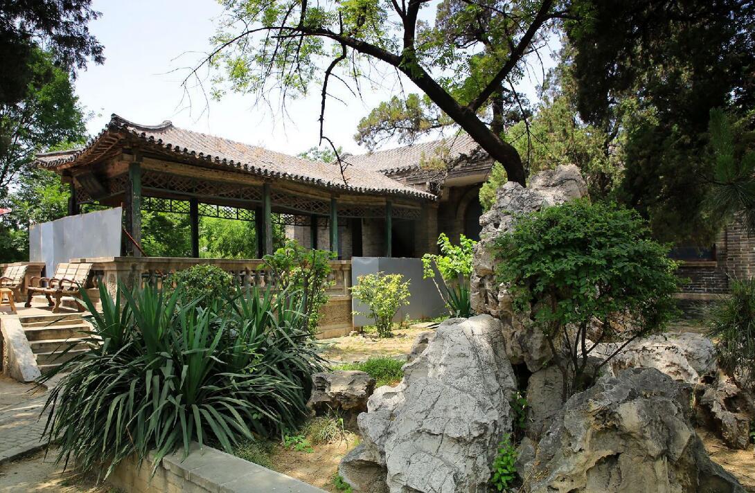 这棵树曾被雷劈成五瓣,200年后从中长出一棵槐树,位于孔府之中