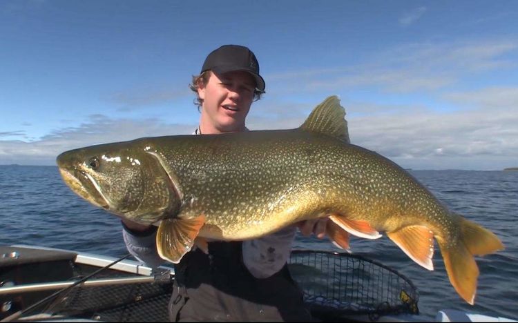 它是真正的海洋暴君,但是却能长寿活200岁|新疆|狗鱼|海洋_新浪新闻