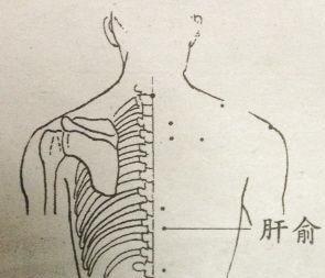 肝俞穴——肝俞穴位于背部,第9胸椎棘突下,旁开1.