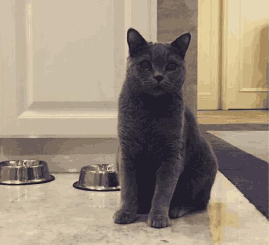 鹿晗家装修奢华至极,全用大理石铺贴,一个沙发值普通人一套房