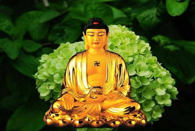 佛教 天天念 南无阿弥陀佛 它的真正含义 你知道吗 阿弥陀佛 南无 众生 新浪新闻