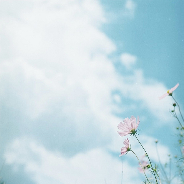 双子座的人往往喜好新鲜事物他们有着小聪明