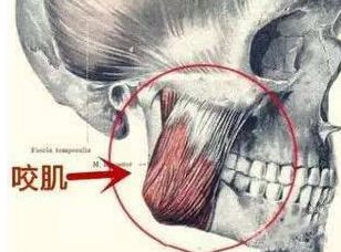 年龄越大就会发腮?李沁的脸隐隐“发腮”,下颌角变大,这咋办?|先天|颊脂垫|下颌_新浪新闻