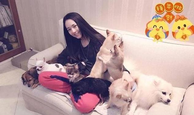 带你参观郭碧婷的家,卧室外面种满了桃花林,向佐看来是真的宠她休闲区蓝鸢梦想 - Www.slyday.coM 带你参观郭碧婷的家,卧室外面种满了桃花林,向佐看来是真的宠她休闲区蓝鸢梦想 - Www.slyday.coM