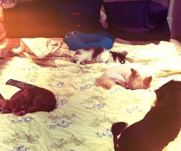 带你参观郭碧婷的家,卧室外面种满了桃花林,向佐看来是真的宠她休闲区蓝鸢梦想 - Www.slyday.coM 带你参观郭碧婷的家,卧室外面种满了桃花林,向佐看来是真的宠她休闲区蓝鸢梦想 - Www.slyday.coM