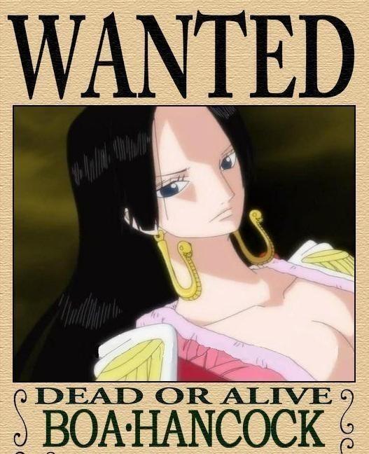 悬赏令|女帝|罗宾_新浪新闻