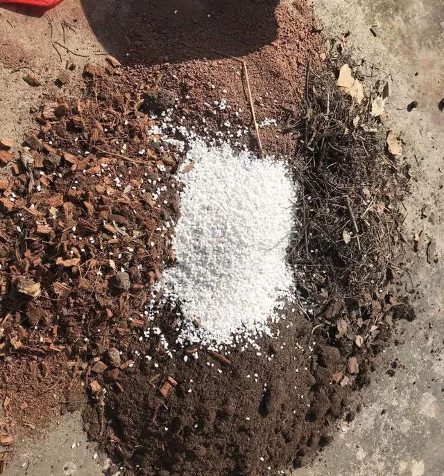 碱性土壤养花难3个方法帮你解决改善酸碱度开花更旺