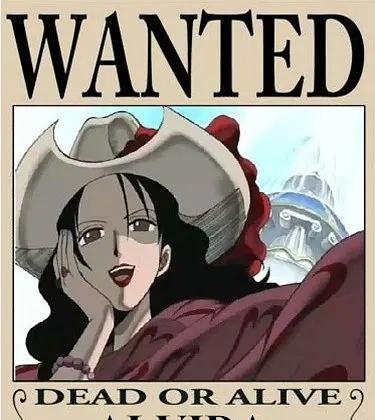 悬赏令|女帝|罗宾_新浪新闻