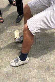 216_319gif 动态图 动图