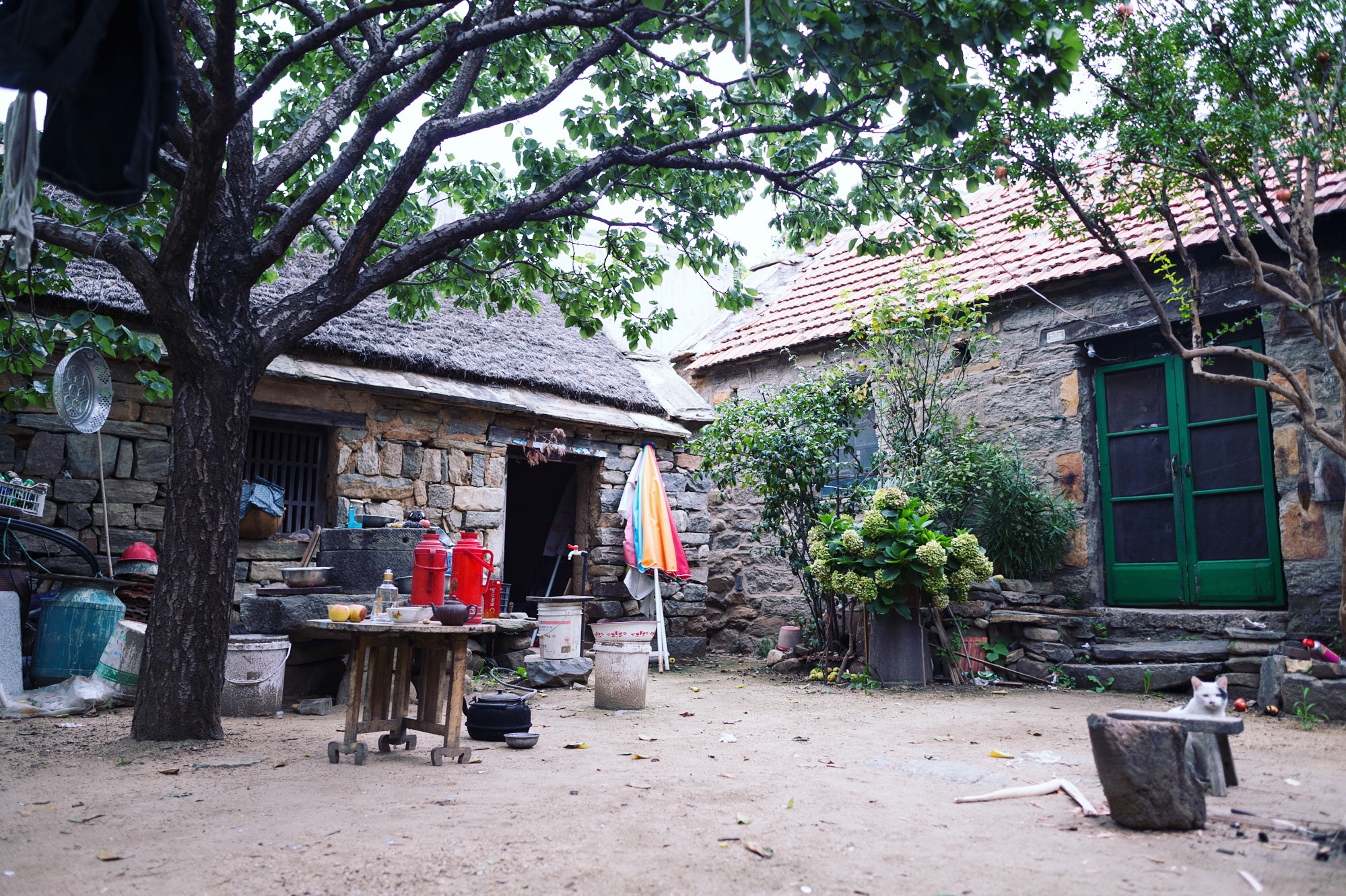 藏在蒙山脚下的千年古村,沂蒙山人最初住在这里,如今成旅游景点