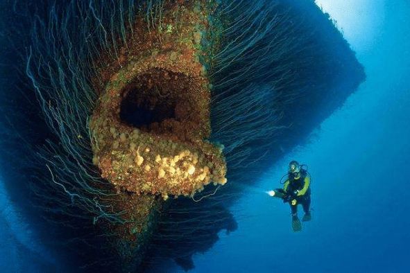 海底一万米到底有多恐怖8200米的深海已经没有鱼类生存了