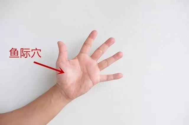 大鱼际上有个鱼际穴,具有清宣肺气,清热利咽的作用,对感冒,肺炎,气管