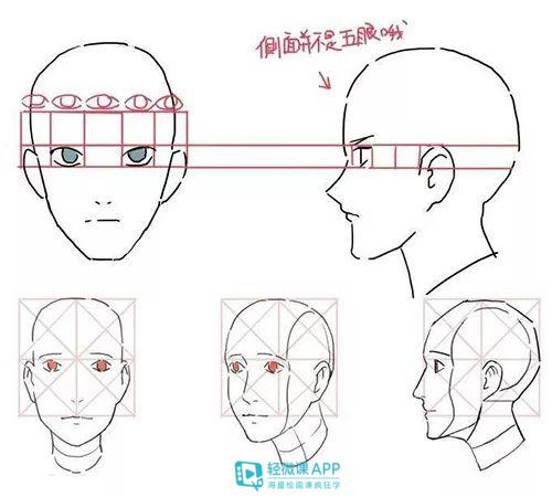 人物五官如何画得生动?画好五官真的特别重要!|五官|头部|眉弓_新浪新闻