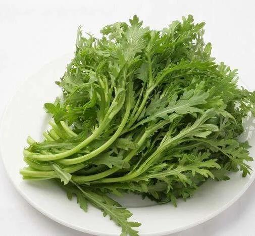 春天的蔬菜春菊 你知道吗 蒿子 春菊 茼蒿 新浪新闻 春天的蔬菜春菊 你知道吗 蒿子 春菊 茼蒿 新浪新闻