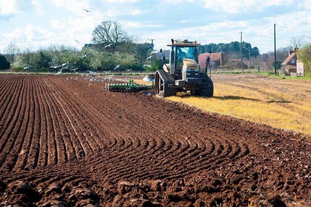 村里来了农技专家鼓励深耕种小麦结果产量少了200斤
