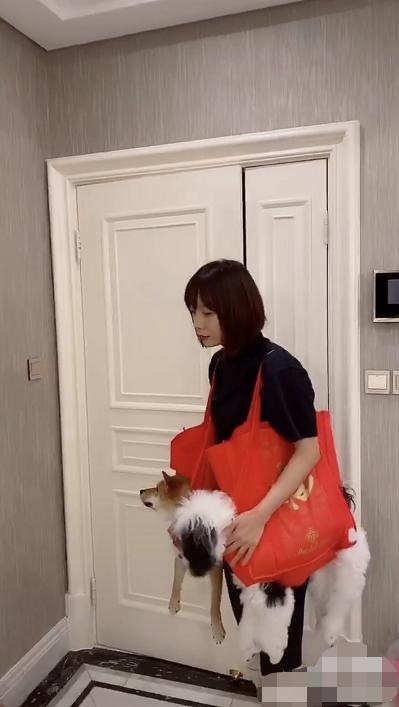 王珞丹在家无聊拿“购物袋”装宠物狗,一身黑装下,太博人眼球