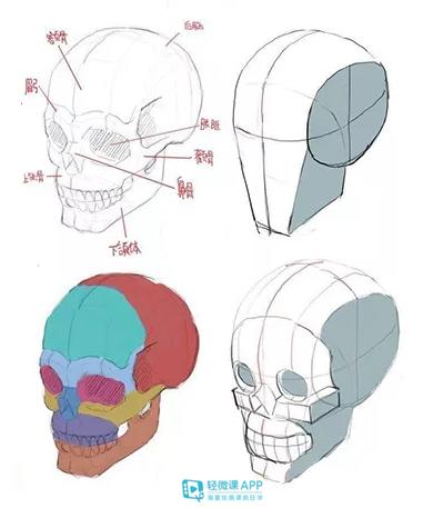 人物五官如何画得生动?画好五官真的特别重要!|五官|头部|眉弓_新浪新闻