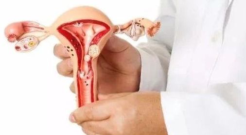 女性每月只有一侧卵巢在排卵?保养卵巢,做好这几点很管用!