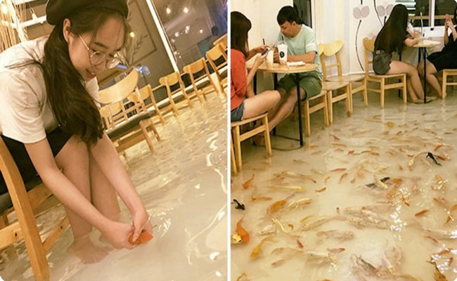 顾客进餐厅要脱鞋赤脚,因为餐厅地板上有20公分水,水里养着鱼