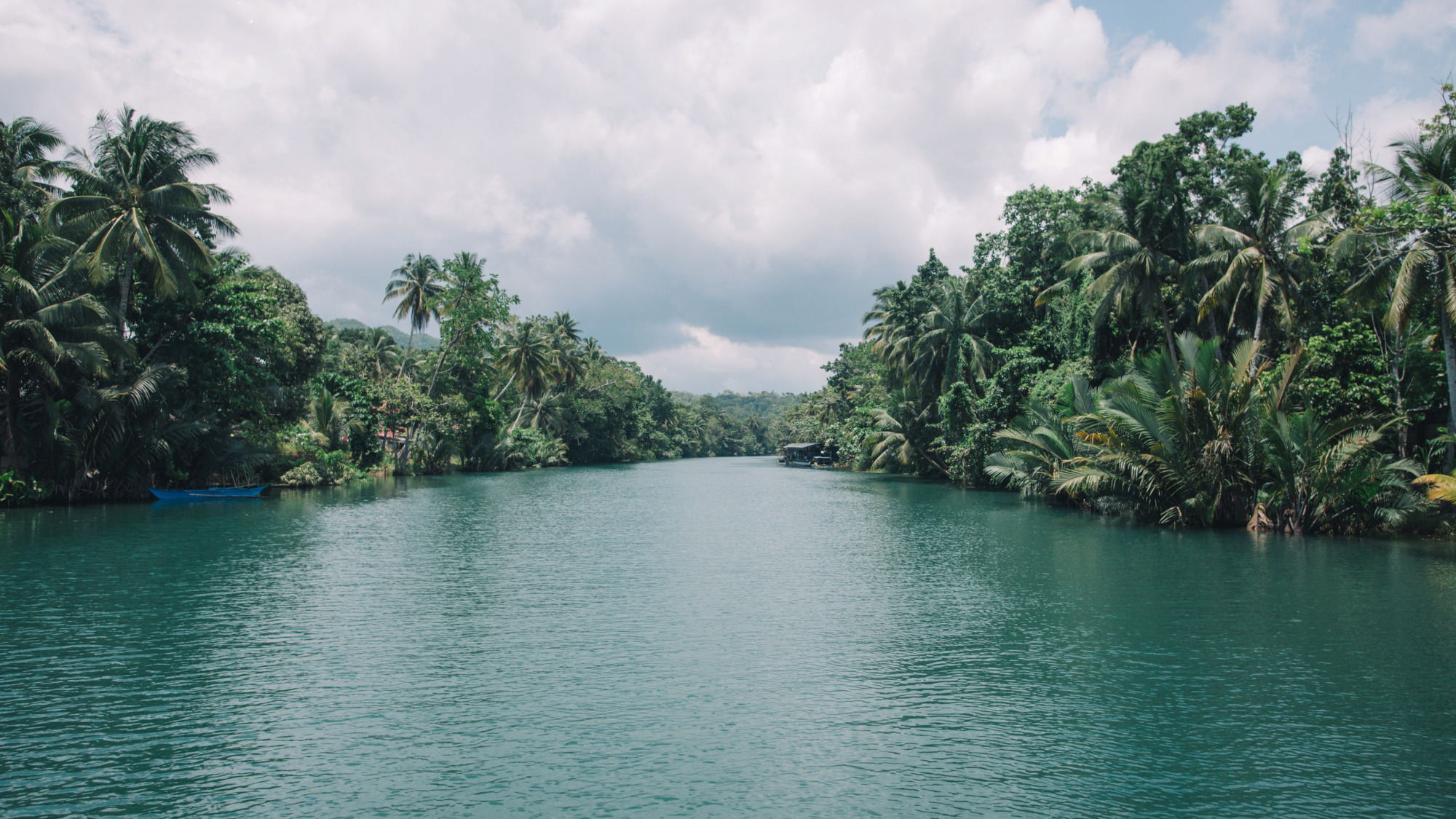 菲律宾薄荷岛唯一的淡水河,风景优美,被誉为"东方亚马逊河"|罗博河|薄