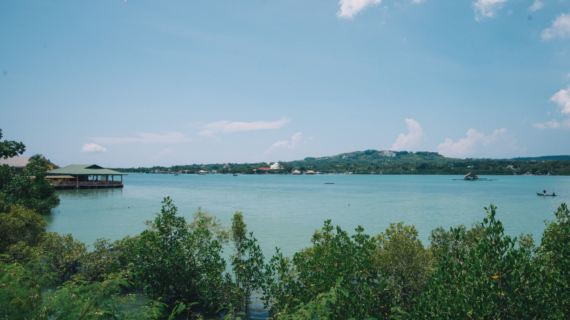 菲律宾薄荷岛唯一的淡水河,风景优美,被誉为"东方亚马逊河"|罗博河|薄