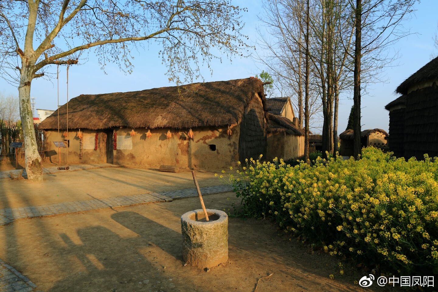 改革开放40周年纪念邮资明信片首发式在凤阳小岗举行